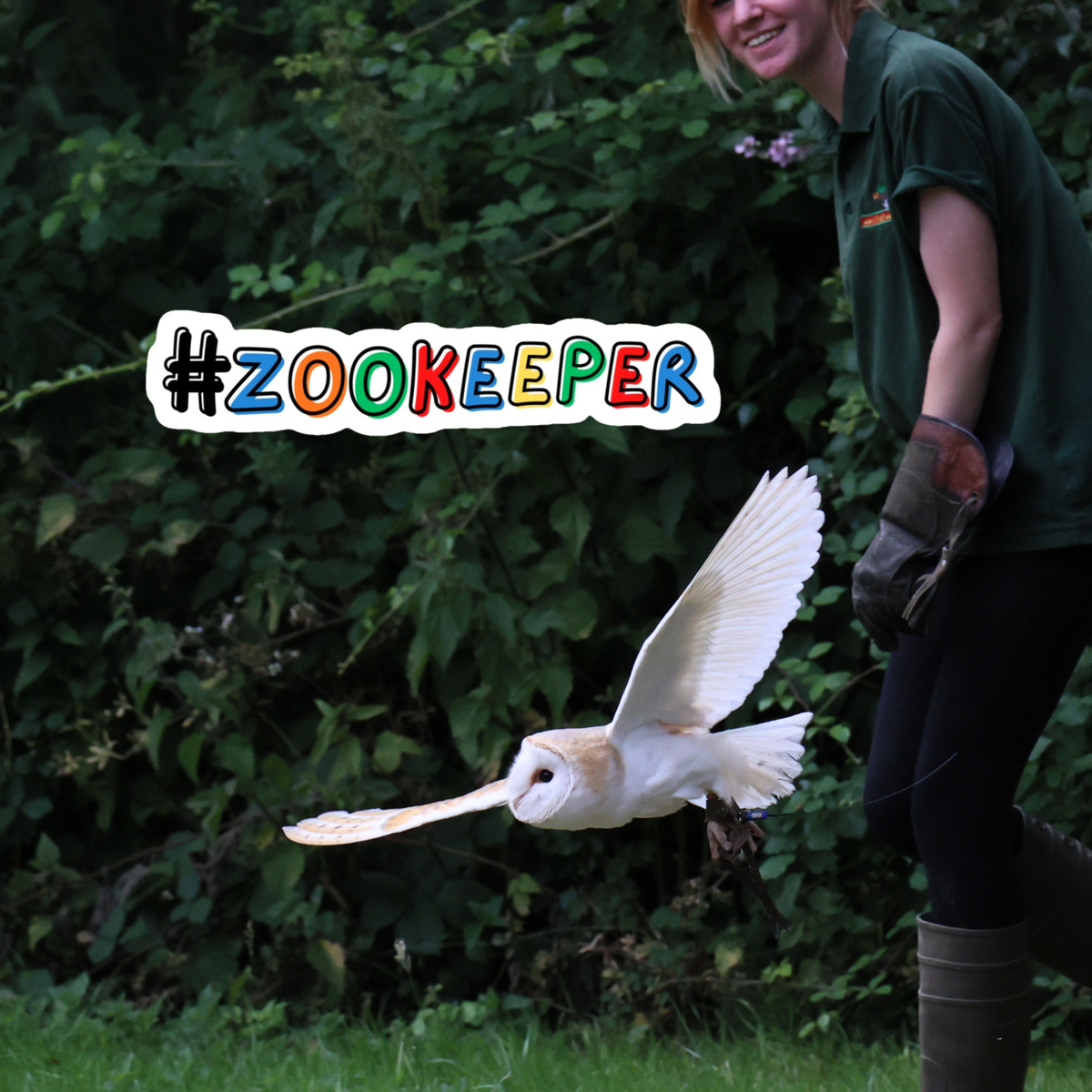 Zookeeping